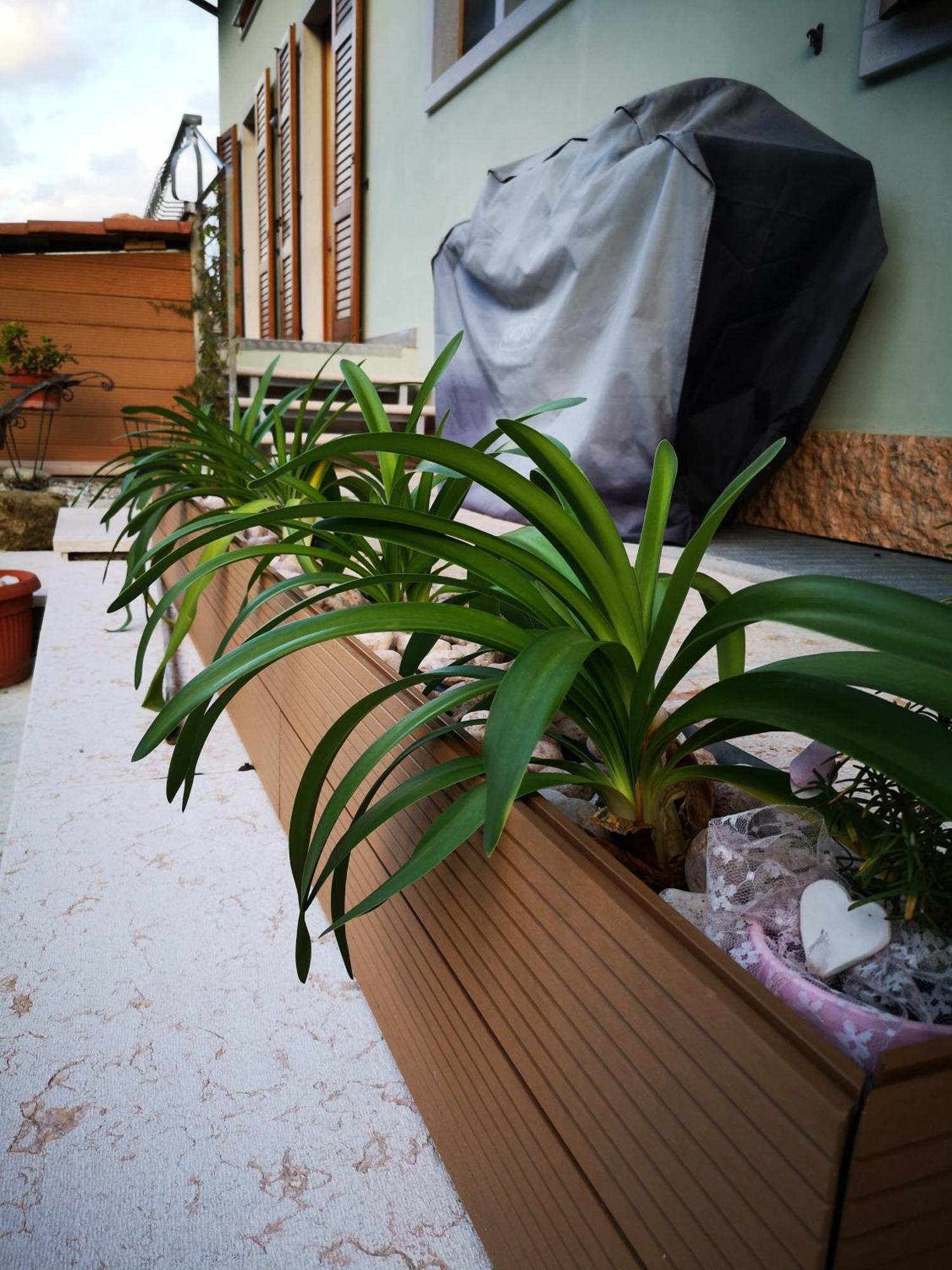 Apartment Sweet Retreat Dro Esterno foto
